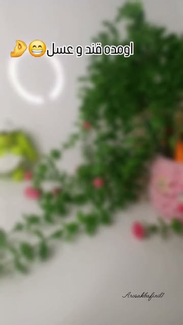 خرگوش مخملی